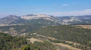 Dentelles de Montmirail et vignes