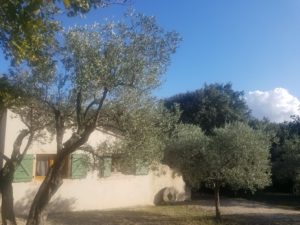 Gite de l'Angèle - Vaucluse - Provence