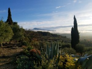 Paysage d'automne vaucluse