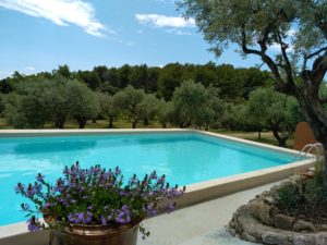 Piscine au coeur des oliviers