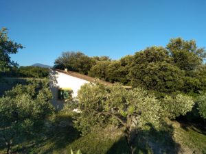 Gite Nature Ventoux Vaucluse